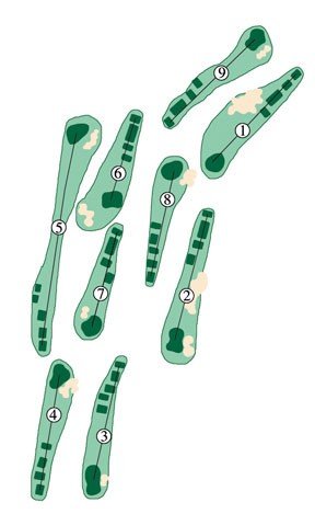 Sandhill Course Design